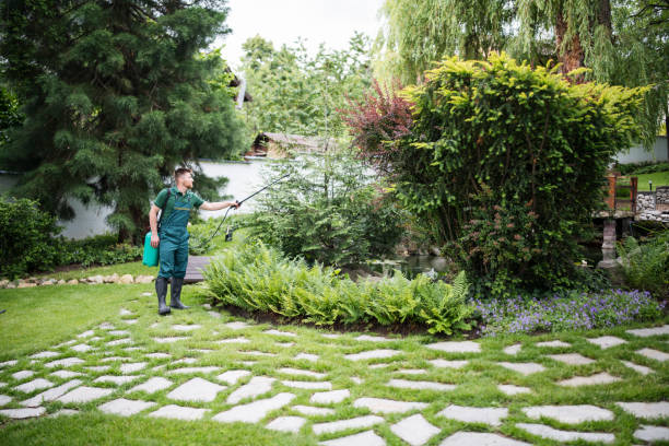 Best Wasp Removal Services  in Yreka, CA