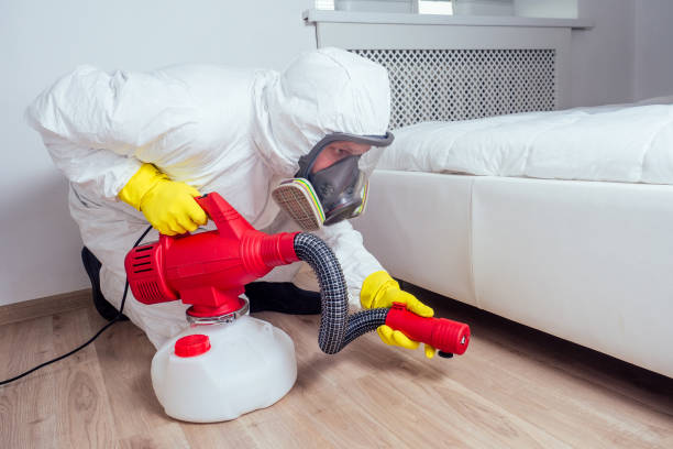 Best Insect Control  in Yreka, CA