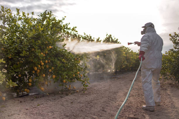 Best Mosquito Control Services  in Yreka, CA