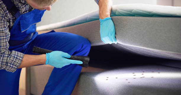 Best Cockroach Control Services  in Yreka, CA