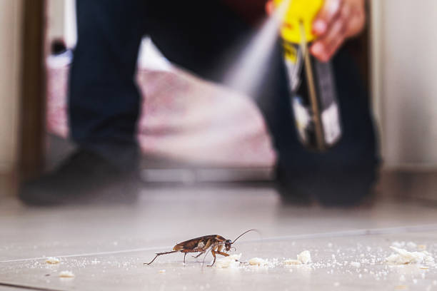 Wildlife Control Services in Yreka, CA